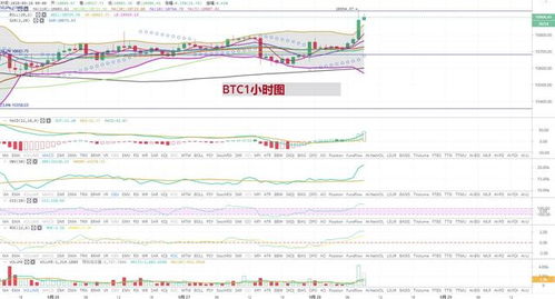 日本比特币价格查询,比特币价格再刷新高逼近10000元大关是怎么回事？