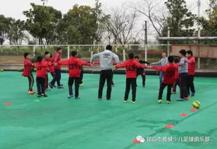 南京有高水平幼儿兰球兴趣班,南京幼儿篮球兴趣班机构