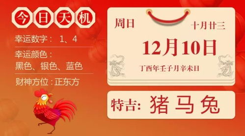 12月10日生肖运势 猪 马 兔大吉 