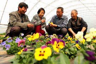 科技扶贫助力村民走上致富路