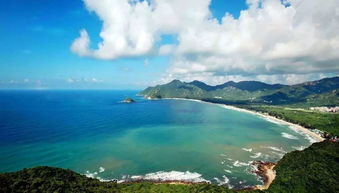 深圳大鹏有海蛇吗(深圳大鹏有海蛇吗最近)