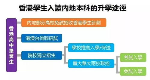 给孩子办理香港户口后,如何规划升学路线