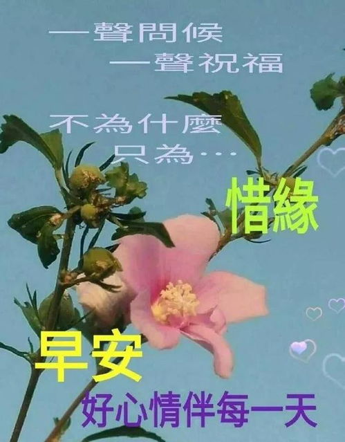 微信朋友圈早安问候表情图片分享,2020早上好温馨祝福短句子