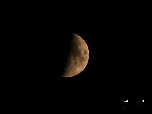 金星和他人天顶呈120度,1996年12月1号晚上6点多出生的个人星盘～