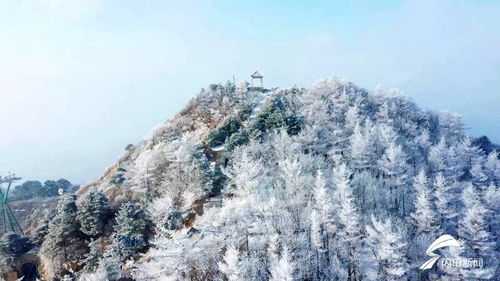 诗画山东 泰山极顶现雾凇美景 玉树琼枝宛若仙境