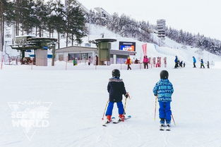 2019...vaara滑雪中心周围的度假村还有居民区一栋栋五彩缤纷的小房子,在积雪覆盖下,特别具有童话色彩 欧娜斯山滑雪中心 评论 去哪儿攻略 