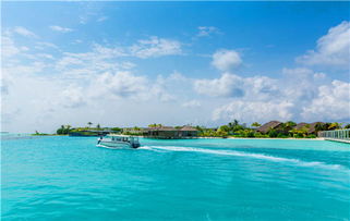 如何申请马尔代夫七星岛签证攻略在这里！（马尔代夫七星岛报价）