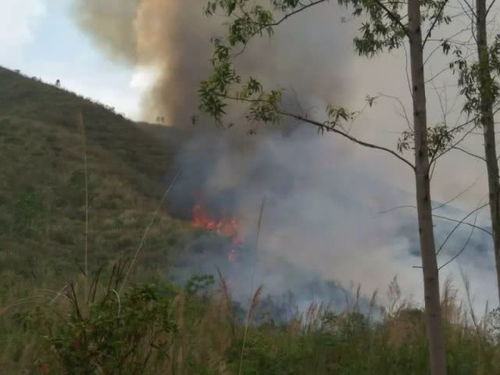 梦见大火烧山 梦见大火烧山又被扑灭是什么意思