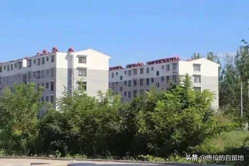 我想在新农村的小区开一家中型超市，请问如何选择股东