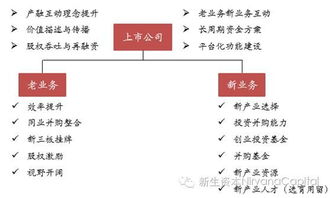 新生说 读完这6条,你就知道什么是赋能式投资了 导语 新生资本在国内首创 赋能式投资模式 ,通过向被投企业输出 产业 管理 资金 市值 的赋能式综合解决方案 