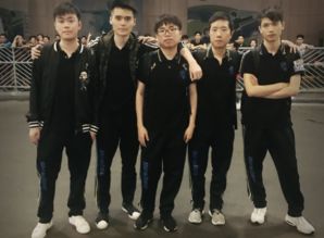 newbee,英文中文谐音梗newbee