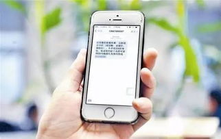 广州银行app付款码在哪，广州银行还款提醒短信截图