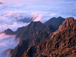 安徽黄山旅游报价，探秘仙境的奇幻之旅！