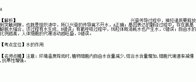 水在人体的生理作用有哪些(水在人体主要作用)