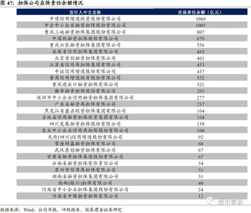 担保公司的“在保余额”是什么意思？从哪个资料里能够体现，希望能详细点