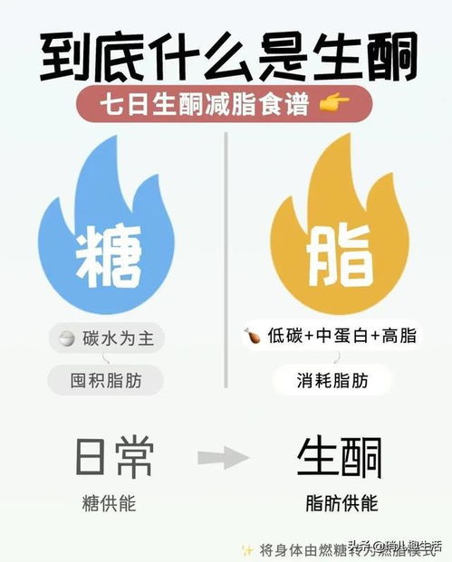 生酮加运动是不是瘦得特别快(生酮减肥加运动)