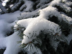 雪孩子，一场温馨的冬季童话，幼儿故事雪孩子的故事