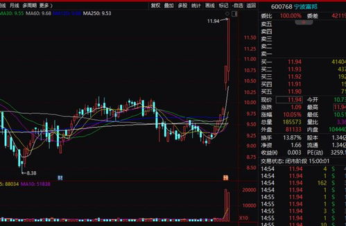  宁波富邦股票最高价是多少最新,最新记录及历史走势分析 天富平台