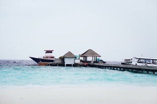 马尔代夫六星岛酒店游记推荐最美海岛度假去哪家（马尔代夫六星岛价格）