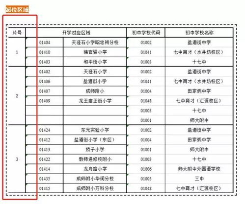 小升初5 4学制,是培养人才,还是投机取巧