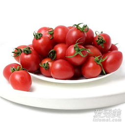 小番茄是不是转基因 小番茄吃多了会上火吗