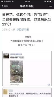 攀枝花 热 不小心惊动了全国各大媒体,引无数人向往 