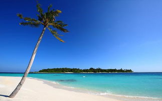 马尔代夫度假岛三人行体验梦幻海岛之旅（马尔代夫度假胜地）