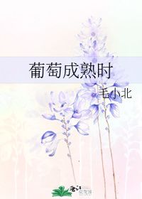 葡萄成熟时 毛小北 晋江文学城 