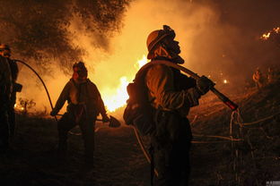 美国圣地亚哥森林大火 过火面积达6000公顷 