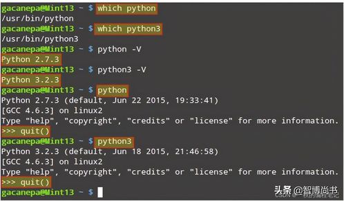 python在哪里写代码,Pyho编程：开发者的高效利器，跨平台的全能语言