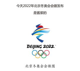 励志理念;2022年冬季奥运会会徽飞跃内容介绍？