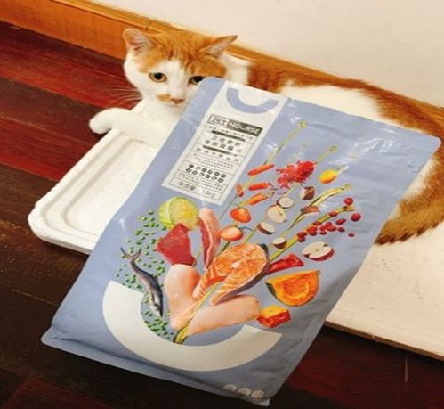 什么猫粮性价比高,猫粮什么牌子好
