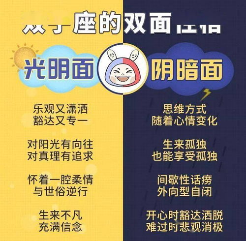 双子座的阴暗面 