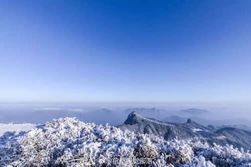 1 余杭这周要下雪了 下半年最强Boss级冷空气来袭