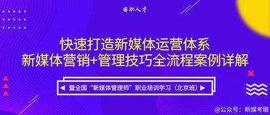 新媒体培训课程 北京,北京短视频运营培训