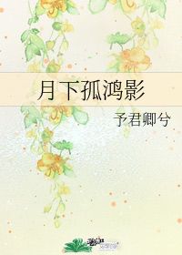 月下孤鸿影 予君卿兮 