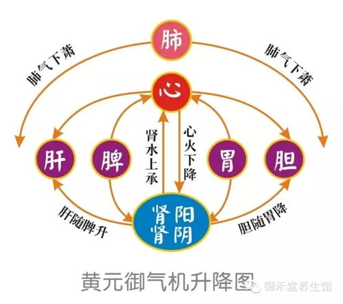 专家建议预防鼻炎？鼻炎患者如何预防(预防鼻炎的小常识)