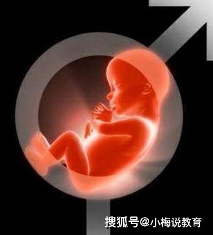想知道腹中胎儿是男是女,其实也没那么难,通过B超单就能看出来