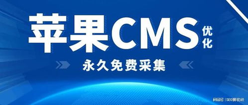 讯睿cms网站自动采集文章站群软件