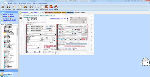 飚风快递单打印软件：让快递单打印更高效便捷