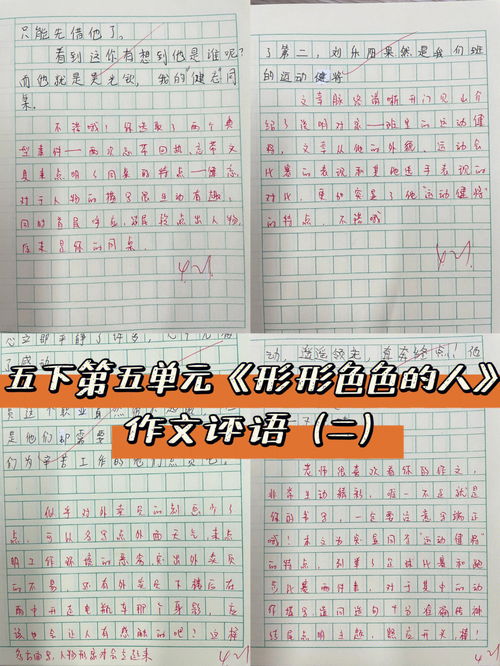 我的新学校作文(我的新学校初中作文600至800字)