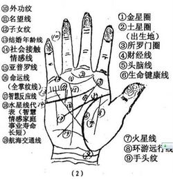 手的各个部位名称图解 图片欣赏中心 急不急图文 Jpjww Com