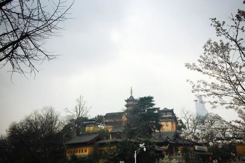 南京旅游景点有哪些好玩的,南京旅游景点介绍