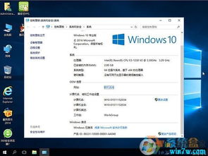 电脑win10系统选家庭版还是专业版