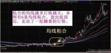 炒股高手应该看什么书来提高股票操作技术