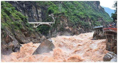 山中突发大水,村民们忙着上山逃难,村长却拼命抢救后院的桃树