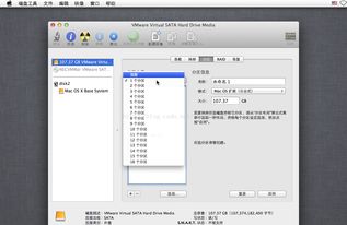 windows搭建ios开发环境,如何在windows平台下安装iphone开发环境xcode或模拟环境安装