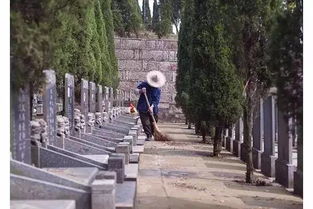 清明 听风听雨思故人,人生看得几清明 