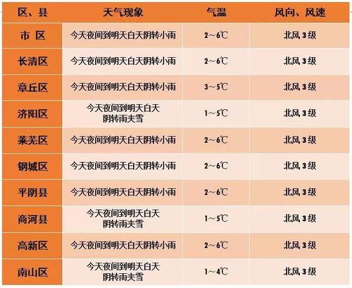 情报站 下雪啦 济南九如山跑马岭雪花轻盈飞舞初雪如约而至