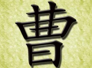 2017年 曹 姓宝宝好名字 